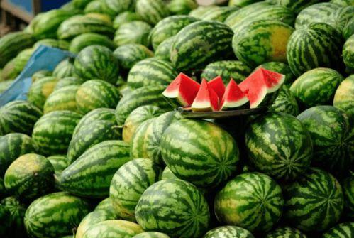 求个网红吃瓜网站名字,揭秘网红吃瓜网站，带你畅游娱乐圈风云